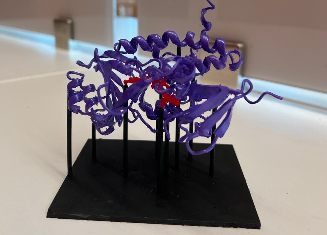 Purple cartoon model of a protein on a black platform featuring a red flavine adenine dinucleotide