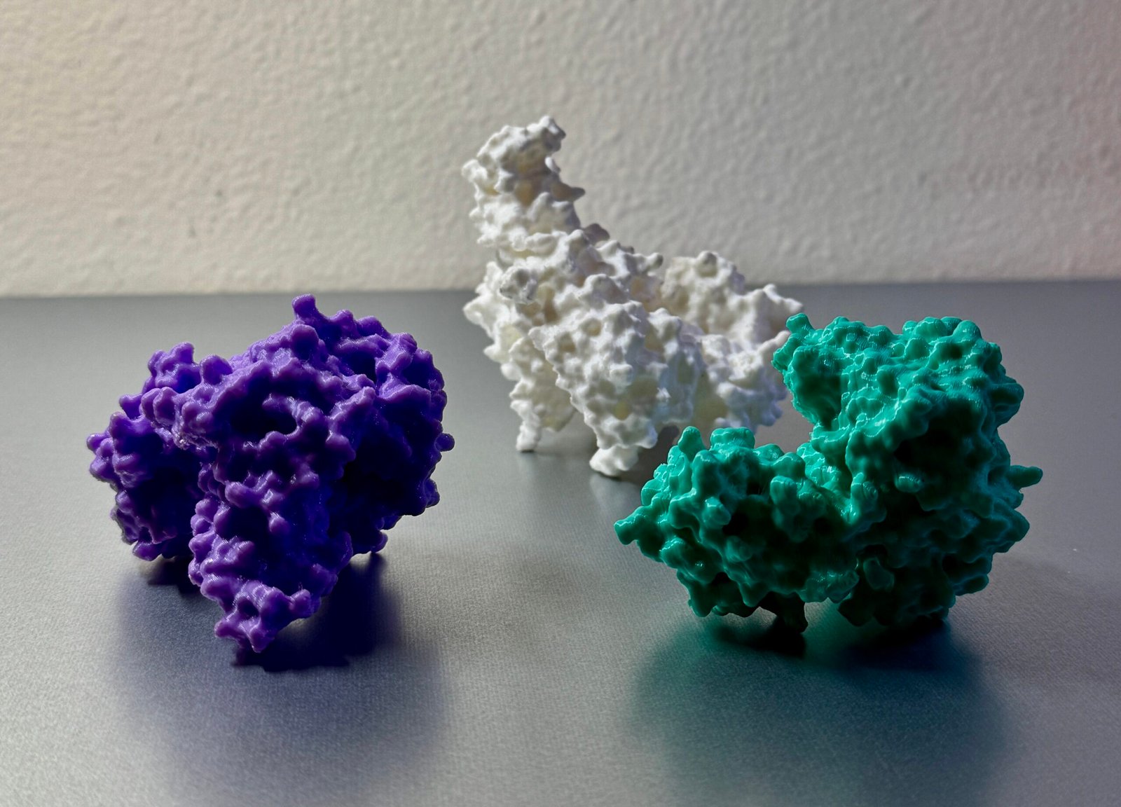 3 3D printed surface protein models in various colors