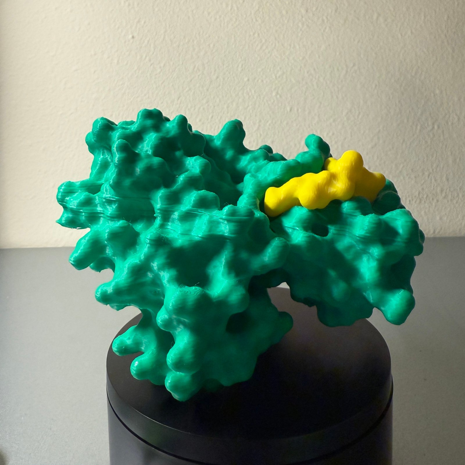 Green protein structure with yellow peptide ligand